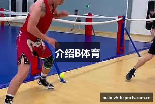 介绍B体育